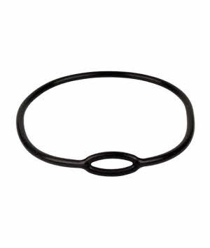 Lungenautomat Atemregler Neckband